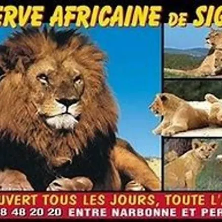 Lägenhet Gare-capitole *